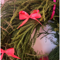 Miss “Strikje in ’t Groen”